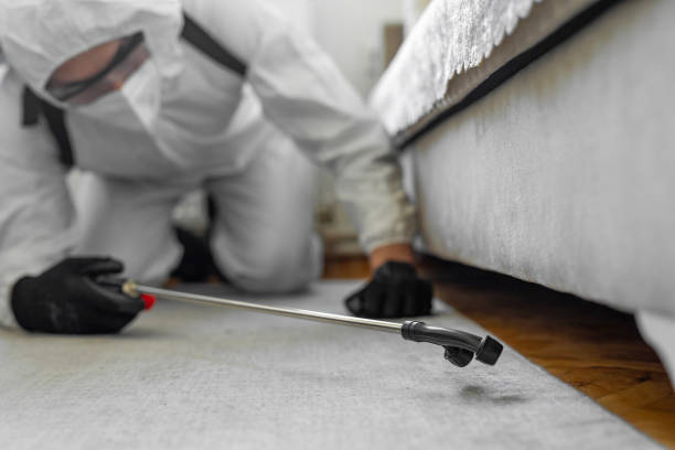 Professional Ant Control technician working in Burleigh County County, ND